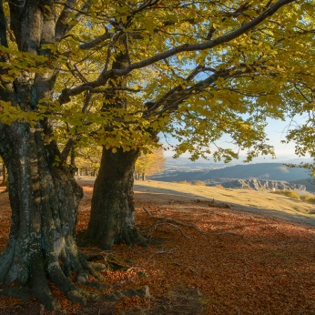 Geoparcul Platoul Mehedinți